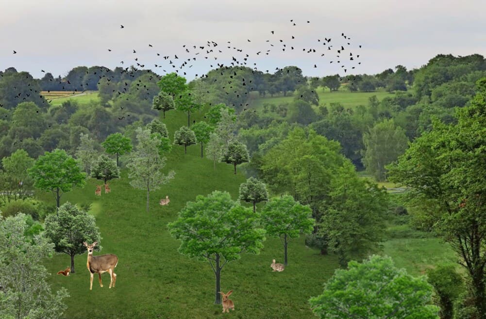 Szenen der Transformation